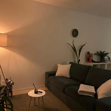Apartment - Parking Free - Near The Lugano